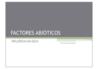 FACTORES ABIÓTICOS
INFLUÊNCIA DA SOLO   Prof.ª Gabriela Salgado
 