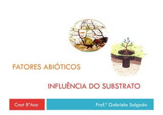 FATORES ABIÓTICOS

             INFLUÊNCIA DO SUBSTRATO

Cnat 8ºAno              Prof.ª Gabriela Salgado
 