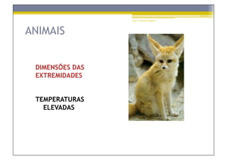 Prof.ª Gabriela Salgado




ANIMAIS


 DIMENSÕES DAS
 EXTREMIDADES


 TEMPERATURAS
   ELEVADAS
 
