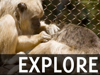 Influencing change through presentations