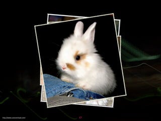 Influencing change through presentations