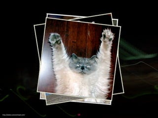 Influencing change through presentations