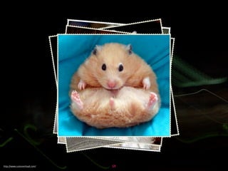 Influencing change through presentations