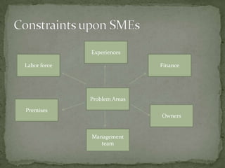 Experiences
Labor force Finance
Problem Areas
Premises
Owners
Management
team