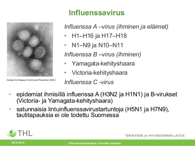 Influenssa Kesto
