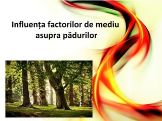 Influenţa factorilor de mediu
asupra pădurilor
 
