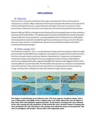 1
INFLUENZA
 Influenza
Influenzaorfluisa commonviral disease of the upperrespiratorytract.There are three typesof
influenzavirus:A,Band C. Major outbreaksof influenzaare associatedwithinfluenzavirus typesA orB.
Infectionwithtype Binfluenzaisusuallymilderthanwithtype A.InfluenzaCiscommonbut rarely
causesdisease.InfluenzaA isthe mostvirulenttype andiscommonlyassociatedwithhumandisease.
Between1918 and 1919 fluis thoughtto have killedover50 millionpeople(6timesasmanyas diedas a
consequence of the WorldWar I).Thisglobal pandemicpossiblyinfected50% of the world’spopulation
and up to20% died.Itwas causedbyan unusuallypathogenicstrainof influenzaA virus. Otherglobal
influenzapandemicshave beenrecordedthroughhistoryandtheyseemtooccurevery10 to 40 years.
Each year,many countries,includingthe UK,experience seasonalinfluenzaepidemicsthataffect
hundredsof thousandsof people.
 What causes flu?
The influenzavirusparticle- virion- isusuallysphericalinshape andcarriesitsgeneticmaterial oneight
piecesof single strandedRNA knownassegments.Eachsegmentcarriesgenesthatencode forproteins
that the virusneedsinorderto replicate inside the infectedhostcell.The genome isprotectedbya
membrane envelope.Protrudingfromthe virusenvelope are hundredsof copiesof twodifferent
varietiesof viral glycoproteinspikes.Approximately80% of the spikesare haemagglutinin(HA) andthe
remaining20%are neuraminidase (NA).The HA andNA surface proteinsare involvedinviral attachment
and entryto hostcells.Theyare alsothe main part of the virusrecognizedbyourimmune systemas
foreign,andmostof the antibodieswe make afterinfectionare againstthese antigens.
The stages of cell infection of an influenza virus. The virus appears rounded in shape, with a
core of ribonucleic acid (RNA). It has a spiked outer coat which allows the virus to attach to
host cells. Host cell cytoplasm appears granular. At top frames (3 images) the virus attaches
to the cell, causing the cell membrane to fold around the virus. At lower frames (3 images) the
virus penetrates the cell, infecting it, and causing more influenza viruses to be produced. This
virus is contagious and invades mucus cells in the respiratory tract.
 