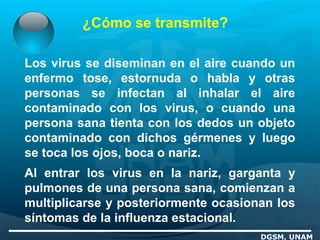 ¿Cómo se transmite?
DGSM, UNAM
Los virus se diseminan en el aire cuando un
enfermo tose, estornuda o habla y otras
personas se infectan al inhalar el aire
contaminado con los virus, o cuando una
persona sana tienta con los dedos un objeto
contaminado con dichos gérmenes y luego
se toca los ojos, boca o nariz.
Al entrar los virus en la nariz, garganta y
pulmones de una persona sana, comienzan a
multiplicarse y posteriormente ocasionan los
síntomas de la influenza estacional.
 