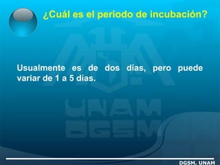 ¿Cuál es el periodo de incubación?
DGSM, UNAM
Usualmente es de dos días, pero puede
variar de 1 a 5 días.
 