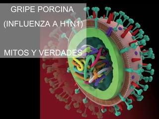 GRIPE PORCINA
(INFLUENZA A H1N1)


MITOS Y VERDADES
 