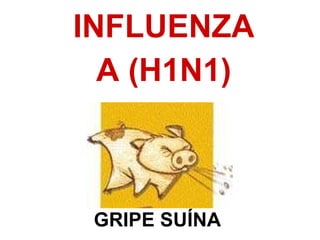 GRIPE SUÍNA INFLUENZA A (H1N1)‏ 