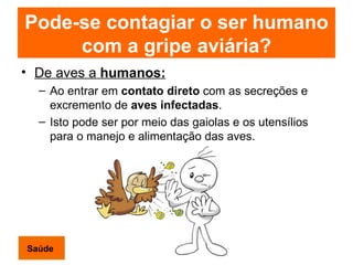 Pode-se contagiar o ser humano com a gripe aviária? De aves a  humanos: Ao entrar em  contato direto  com as secreções e  excremento de  aves infectadas .  Isto pode ser por meio das gaiolas e os utensílios para o manejo e alimentação das aves. Saúde 