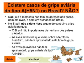 Não,  até o momento não tem-se apresentado casos, nem em aves, e nem em humanos no Brasil. No Brasil:  não existe risco  algum de contrair a gripe aviaria porque: O Brasil não importa aves de nenhum dos países afetados. As aves silvestres que voam sobre o território brasileiro, não tem apresentado este tipo de gripe aviaria. Certificado As aves de aviários não tem apresentado gripe aviaria de tipo A (H5N1). Saúde Existem casos de gripe aviária do tipo A(H5N1) no Brasil? NÃO? 