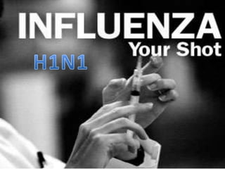 H1N1 