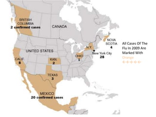 All Cases Of The Flu In 2009 Are Marked With Orange
