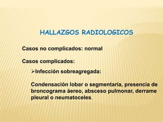 El 90% tiene menos de 40 años.