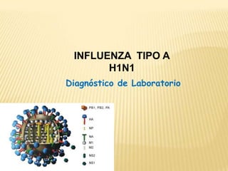 Personal de salud en contacto con casos de influenza.