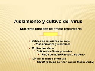 SIGNOS DE ALARMADISNEA