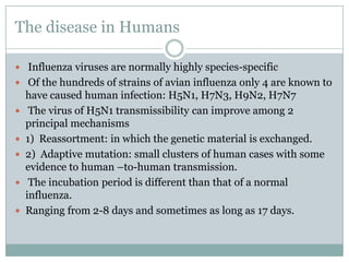 The disease in Humans Influenza viruses are normally highly species-specific Of the hundreds of strains of avian influenza only 4 are known to have caused human infection: H5N1, H7N3, H9N2, H7N7 The virus of H5N1 transmissibility can improve among 2 principal mechanisms 1)  Reassortment: in which the genetic material is exchanged. 2)  Adaptive mutation: small clusters of human cases with some evidence to human –to-human transmission. The incubation period is different than that of a normal influenza.Ranging from 2-8 days and sometimes as long as 17 days.