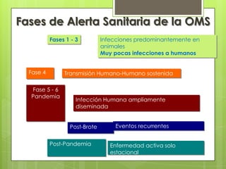 Fase 5 - 6,[object Object],Pandemia,[object Object],Infección Humana ampliamente diseminada,[object Object],Eventos recurrentes,[object Object],Post-Brote,[object Object],Post-Pandemia,[object Object],Enfermedad activa solo estacional,[object Object],Fases de Alerta Sanitaria de la OMS,[object Object],Fases 1 - 3,[object Object],Infecciones predominantemente en animales,[object Object],Muy pocas infecciones a humanos,[object Object],Fase 4,[object Object],Transmisión Humano-Humano sostenida,[object Object]