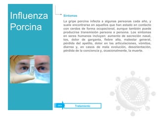 Influenza Porcina Síntomas La gripe porcina infecta a algunas personas cada año, y suele encontrarse en aquellos que han estado en contacto con cerdos de forma ocupacional, aunque también puede producirse transmisión persona a persona. Los síntomas en seres humanos incluyen: aumento de secreción nasal, tos, dolor de garganta, fiebre alta, malestar general, pérdida del apetito, dolor en las articulaciones, vómitos, diarrea y, en casos de mala evolución, desorientación, pérdida de la conciencia y, ocasionalmente, la muerte. Tratamiento click 