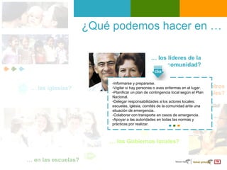 ¿Qué podemos hacer en …  …  los líderes de la comunidad? …  en los centros laborales ? …  las iglesias? …  los Gobiernos locales? …  en las escuelas? Informarse y prepararse.  Vigilar si hay personas o aves enfermas en el lugar. Planificar un plan de contingencia local según el Plan Nacional. Delegar responsabilidades a los actores locales: escuelas, iglesia, comités de la comunidad ante una situación de emergencia. Colaborar con transporte en casos de emergencia. Apoyar a las autoridades en todas las normas y prácticas por realizar. 