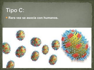 Rara vez se asocia con humanos.
 