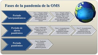 Fases de la pandemia de la OMS
Período
interpandémicos
Fase 1. Ningún subtipo
nuevo de gripe en las
personas. Riesgo bajo de
infección por virus
circulante de gripe
animal
Fase 2. Ningún subtipo
nuevo de gripe en las
personas. Nuevo virus
circulante de gripe
animal representa riesgo
para las personas
Período de
alerta
pandémica
Fase 3. Infección
humana con el nuevo
subtipo pero sin
transmisión entre las
personas
Fase 4. Acumulaciones
pequeñas con
transmisión limitada
entre las personas.
Fase 5. Acumulaciones
mayores pero
transmisión entre las
personas aún localizada.
Período
pandémico
Fase 6. Pandemia:
transmisión
incrementada y
sostenida en la
población general.
 