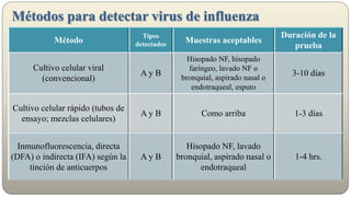 Métodos para detectar virus de influenza
Método
Tipos
detectados Muestras aceptables
Duración de la
prueba
Cultivo celular viral
(convencional)
A y B
Hisopado NF, hisopado
faríngeo, lavado NF o
bronquial, aspirado nasal o
endotraqueal, esputo
3-10 días
Cultivo celular rápido (tubos de
ensayo; mezclas celulares)
A y B Como arriba 1-3 días
Inmunofluorescencia, directa
(DFA) o indirecta (IFA) según la
tinción de anticuerpos
A y B
Hisopado NF, lavado
bronquial, aspirado nasal o
endotraqueal
1-4 hrs.
 