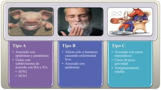 Tipo A
• Asociado con
epidemias y pandemias
• Único con
subdivisiones de
acuerdo con HA y NA.
• H3N2
• H1N1
Tipo B
• Afecta solo a humanos
causando enfermedad
leve.
• Asociado con
epidemias
Tipo C
• Asociado con casos
esporádicos
• Casos de poca
gravedad
• Antigénicamente
estable
 