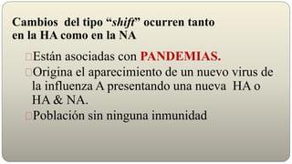 Cambios del tipo “shift” ocurren tanto
en la HA como en la NA
Están asociadas con PANDEMIAS.
Origina el aparecimiento de un nuevo virus de
la influenza A presentando una nueva HA o
HA & NA.
Población sin ninguna inmunidad
 