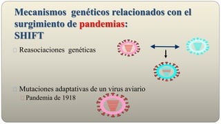 Mecanismos genéticos relacionados con el
surgimiento de pandemias:
SHIFT
Reasociaciones genéticas
Mutaciones adaptativas de un virus aviario
Pandemia de 1918
 