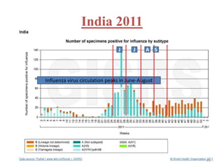 India 2011 
J J A S 
Influenza virus circulation peaks in June-August 
21 
 