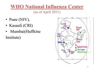 WHO National Influenza Center 
(as of April 2011) 
• Pune (NIV), 
• Kasauli (CRI) 
• Mumbai(Haffkine 
Institute) 
24 
 
