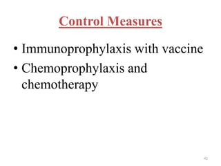 Control Measures 
• Immunoprophylaxis with vaccine 
• Chemoprophylaxis and 
chemotherapy 
42 
 
