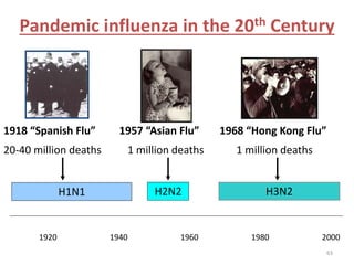 Pandemic influenza in the 20th Century 
1918 “Spanish Flu” 1957 “Asian Flu” 1968 “Hong Kong Flu” 
20-40 million deaths 1 million deaths 1 million deaths 
H1N1 H2N2 H3N2 
1920 1940 1960 1980 2000 
63 
 
