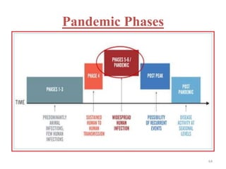 Pandemic Phases 
64 
 