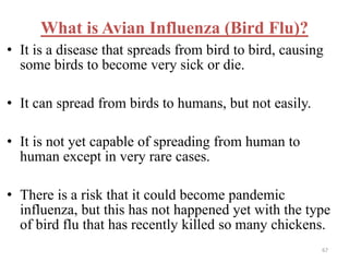 What is Avian Influenza (Bird Flu)? 
• It is a disease that spreads from bird to bird, causing 
some birds to become very sick or die. 
• It can spread from birds to humans, but not easily. 
• It is not yet capable of spreading from human to 
human except in very rare cases. 
• There is a risk that it could become pandemic 
influenza, but this has not happened yet with the type 
of bird flu that has recently killed so many chickens. 
67 
 
