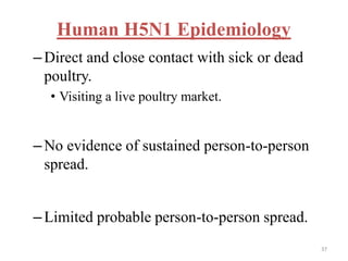 – Direct and close contact with sick or dead 
poultry. 
• Visiting a live poultry market. 
– No evidence of sustained person-to-person 
spread. 
– Limited probable person-to-person spread. 
37 
Human H5N1 Epidemiology 
 