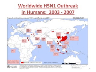Worldwide H5N1 Outbreak 
in Humans: 2003 - 2007 
39 
 