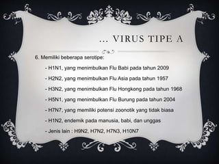 … VIRUS TIPE A
6. Memiliki beberapa serotipe:
- H1N1, yang menimbulkan Flu Babi pada tahun 2009
- H2N2, yang menimbulkan Flu Asia pada tahun 1957
- H3N2, yang menimbulkan Flu Hongkong pada tahun 1968
- H5N1, yang menimbulkan Flu Burung pada tahun 2004
- H7N7, yang memiliki potensi zoonotik yang tidak biasa
- H1N2, endemik pada manusia, babi, dan unggas
- Jenis lain : H9N2, H7N2, H7N3, H10N7
 