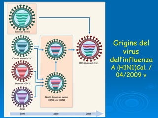 Origine del virus dell’influenza  A (H1N1)Cal. /04/2009 v 