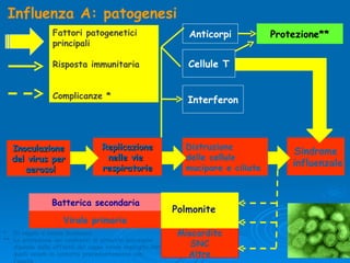 Influenza A: patogenesi Sindrome influenzale Distruzione  delle cellule  mucipare e ciliate Protezione** Replicazione nelle vie  respiratorie Batterica secondaria Virale primaria Miocardite SNC Altre Polmonite *  Di regola a bassa incidenza  ** La protezione nei confronti di attacchi successivi dipende dalla affinità del ceppo virale implicato con quelli venuti in contatto precedentemente con l’ospite Anticorpi Cellule T Interferon Fattori patogenetici principali Risposta immunitaria Complicanze * Inoculazione  del virus per aerosol 