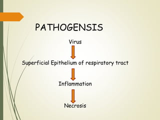 PATHOGENSIS
Virus
Superficial Epithelium of respiratory tract
Inflammation
Necrosis
 