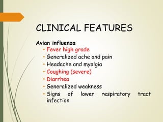 CLINICAL FEATURES
Avian influenza
• Fever high grade
• Generalized ache and pain
• Headache and myalgia
• Coughing (severe)
• Diarrhea
• Generalized weakness
• Signs of lower respiratory tract
infection
 