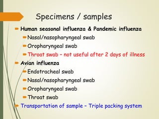 Specimens / samples
 Human seasonal influenza & Pandemic influenza
Nasal/nasopharyngeal swab
Oropharyngeal swab
Throat swab – not useful after 2 days of illness
 Avian influenza
Endotracheal swab
Nasal/nasopharyngeal swab
Oropharyngeal swab
Throat swab
 Transportation of sample – Triple packing system
 