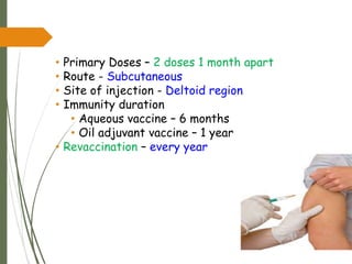 • Primary Doses – 2 doses 1 month apart
• Route - Subcutaneous
• Site of injection - Deltoid region
• Immunity duration
• Aqueous vaccine – 6 months
• Oil adjuvant vaccine – 1 year
• Revaccination – every year
 