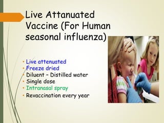 Live Attanuated
Vaccine (For Human
seasonal influenza)
• Live attenuated
• Freeze dried
• Diluent – Distilled water
• Single dose
• Intranasal spray
• Revaccination every year
 