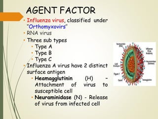 AGENT FACTOR
• Influenza virus, classified under
‘’Orthomyxovirs’’
• RNA virus
• Three sub types
• Type A
• Type B
• Type C
• Influenza A virus have 2 distinct
surface antigen
• Heamagglutinin (H) –
Attachment of virus to
susceptible cell
• Neuraminidase (N) - Release
of virus from infected cell
 