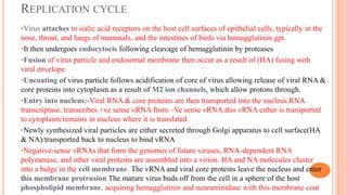 Protons Virus Influenza | PPTX